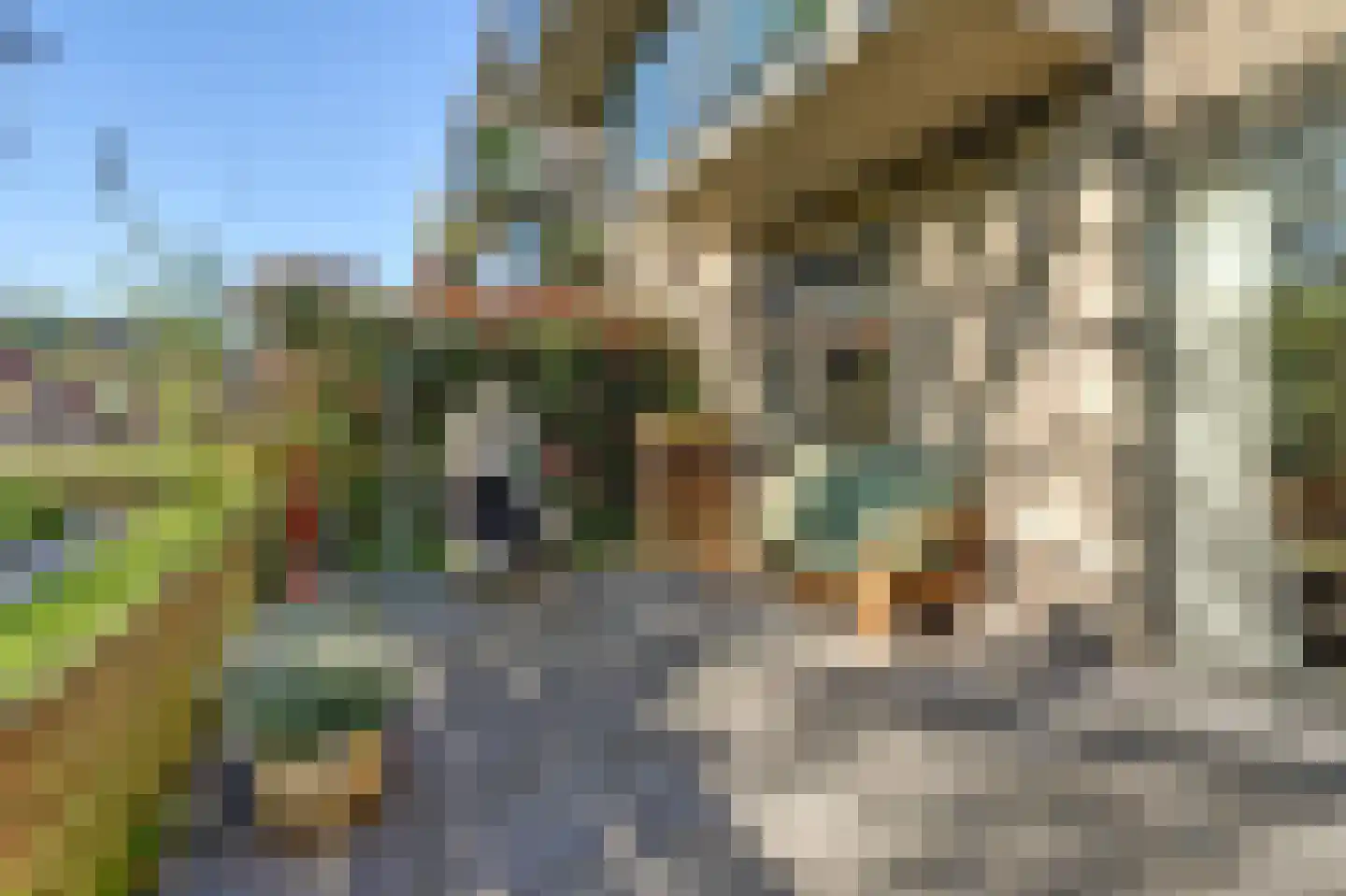 Nedereindseweg 30 11 Nieuwegein thumbnail 6
