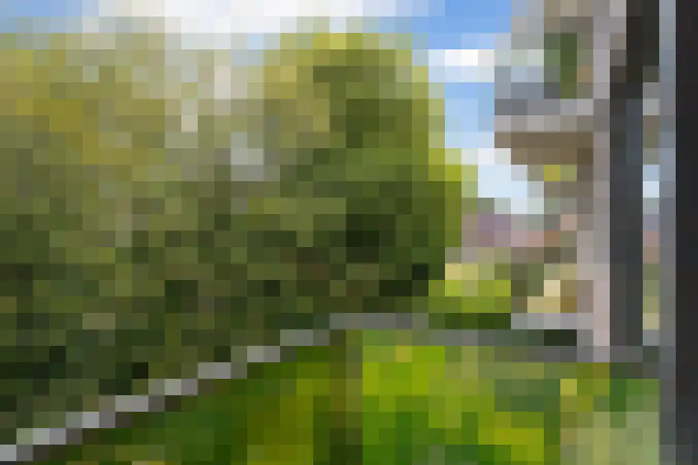 Nedereindseweg 30 22 Nieuwegein thumbnail 28