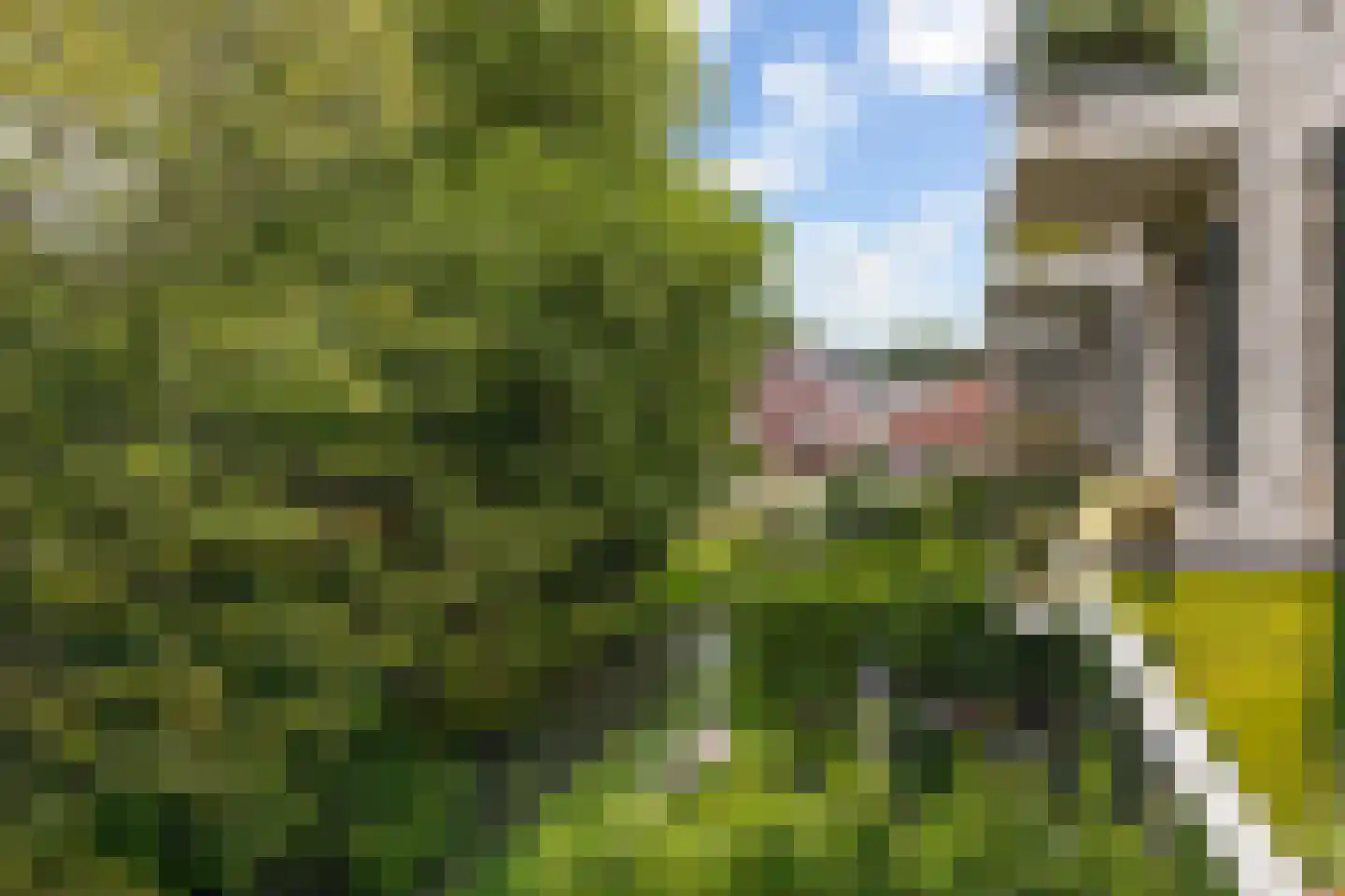 Nedereindseweg 30 22 Nieuwegein thumbnail 29