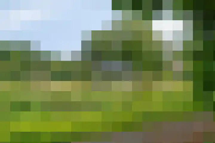 Nedereindseweg 30 28 Nieuwegein thumbnail 31