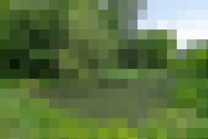 Nedereindseweg 30 28 Nieuwegein thumbnail 32