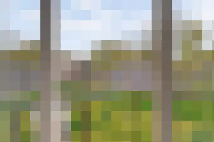 Nedereindseweg 30 34 Nieuwegein thumbnail 24