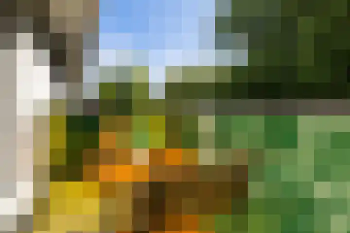 Nedereindseweg 30 40 Nieuwegein thumbnail 25