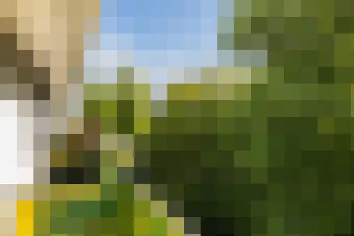 Nedereindseweg 30 40 Nieuwegein thumbnail 26