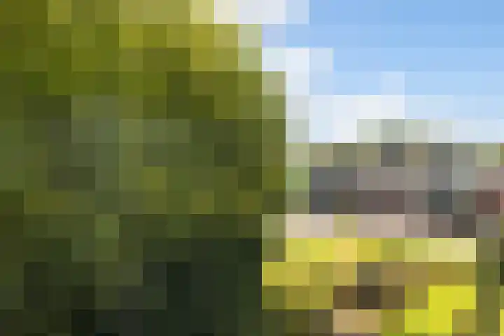 Nedereindseweg 30 40 Nieuwegein thumbnail 27