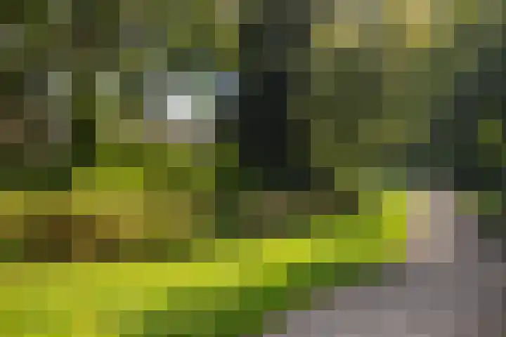 Nedereindseweg 30 40 Nieuwegein thumbnail 33