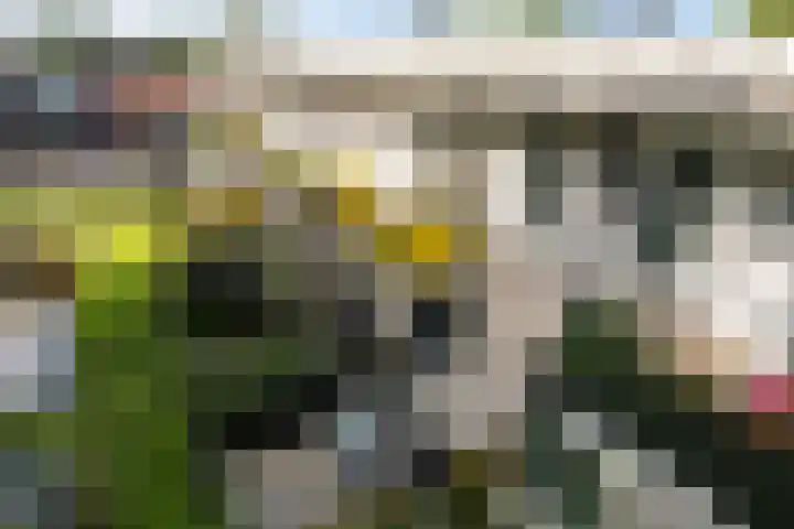 Nedereindseweg 30 40 Nieuwegein thumbnail 36