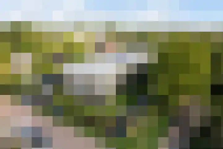 Nedereindseweg 30 40 Nieuwegein thumbnail 40