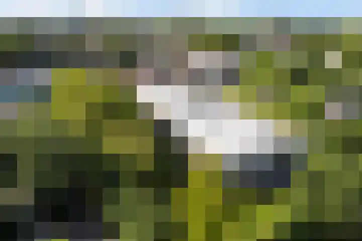 Nedereindseweg 30 40 Nieuwegein thumbnail 42