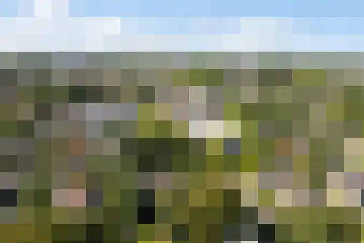Nedereindseweg 30 40 Nieuwegein thumbnail 43