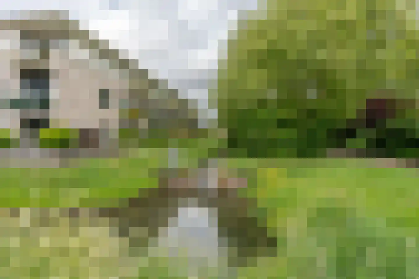 Nedereindseweg 31 5 Nieuwegein thumbnail 36