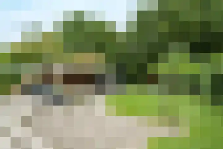 Nedereindseweg 417 Nieuwegein thumbnail 26
