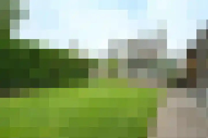 Nedereindseweg 417 Nieuwegein thumbnail 31