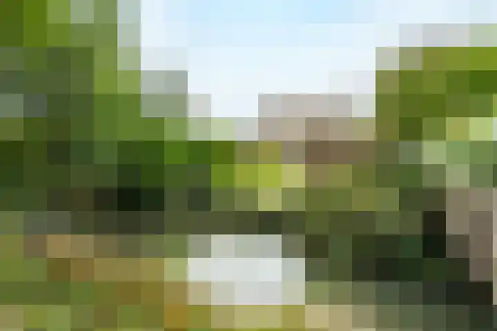 Nedereindseweg 417 Nieuwegein thumbnail 32