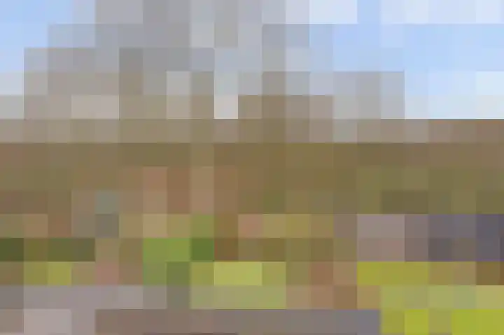 Nedereindseweg 453 Nieuwegein thumbnail 5