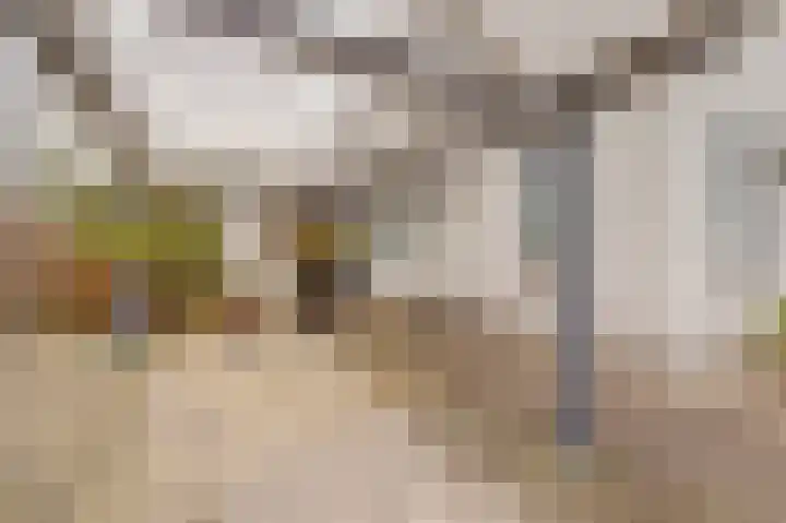 Nedereindseweg 453 Nieuwegein thumbnail 8