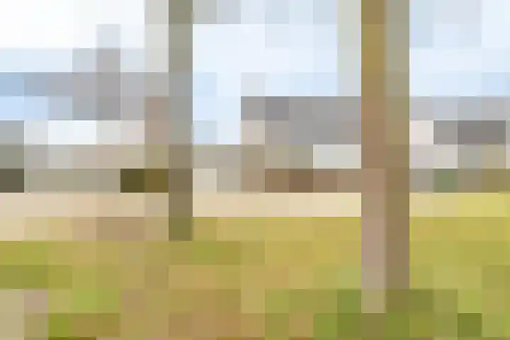 Nedereindseweg 471 Nieuwegein thumbnail 47