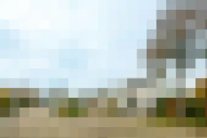 Nedereindseweg 475 Nieuwegein thumbnail 4