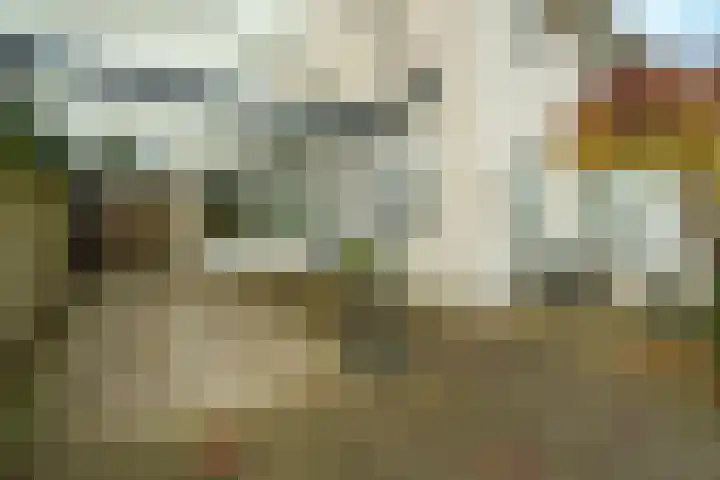 Nedereindseweg 475 Nieuwegein thumbnail 5