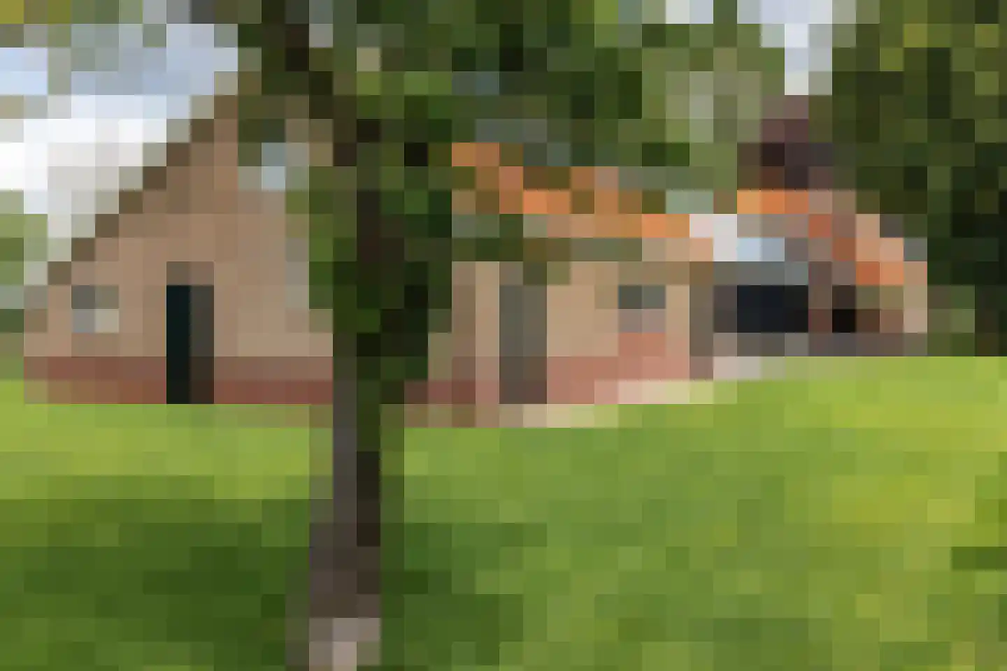 Nedereindseweg 528 Utrecht thumbnail 12