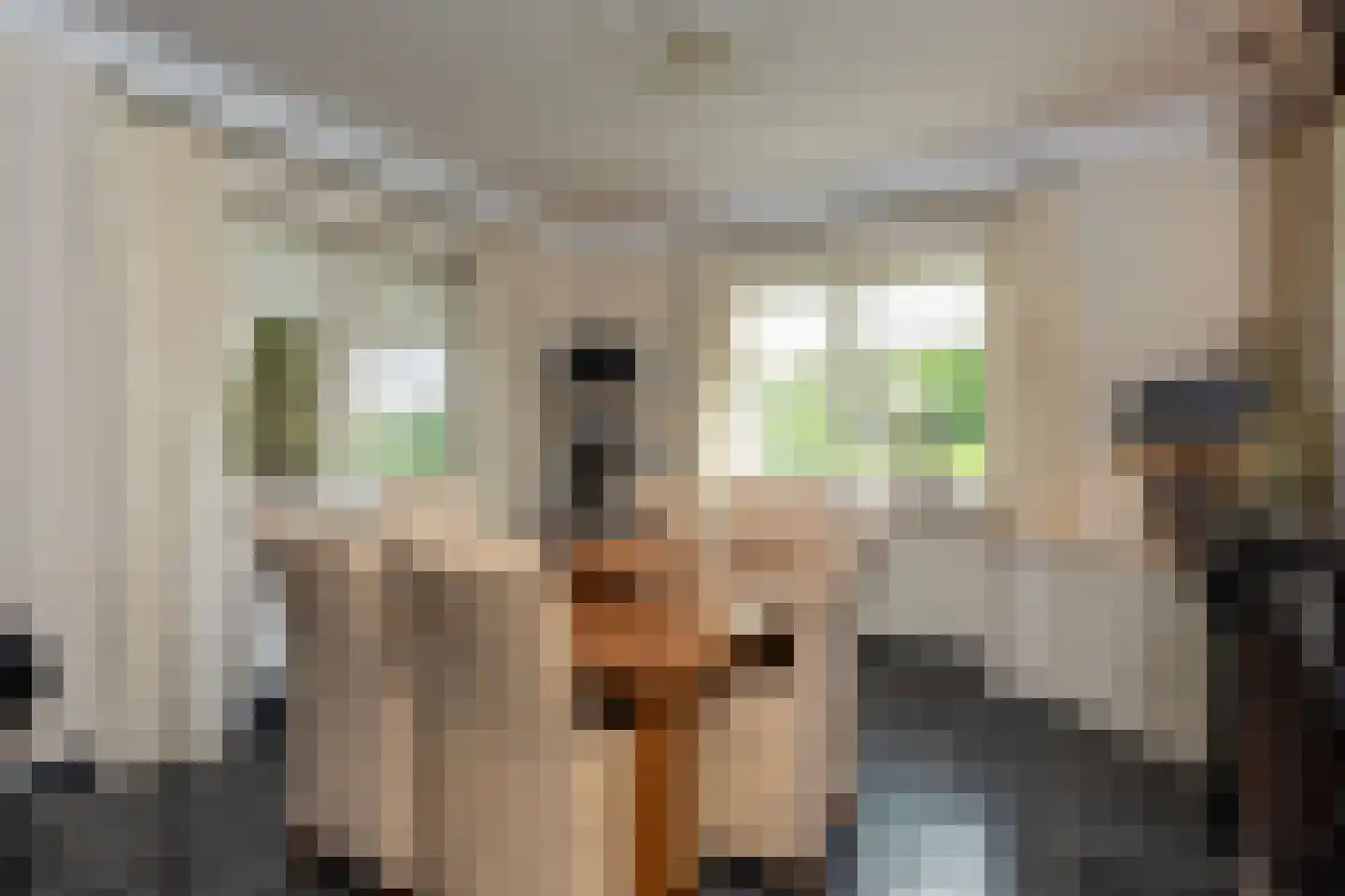 Nedereindseweg 528 Utrecht thumbnail 30