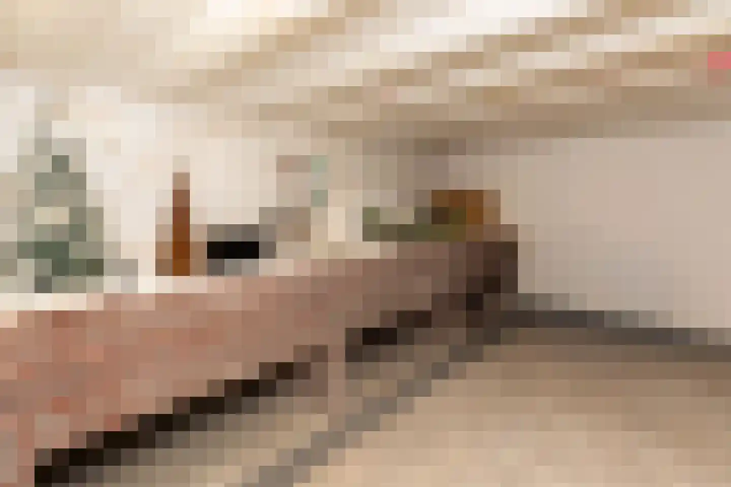 Nedereindseweg 528 Utrecht thumbnail 37
