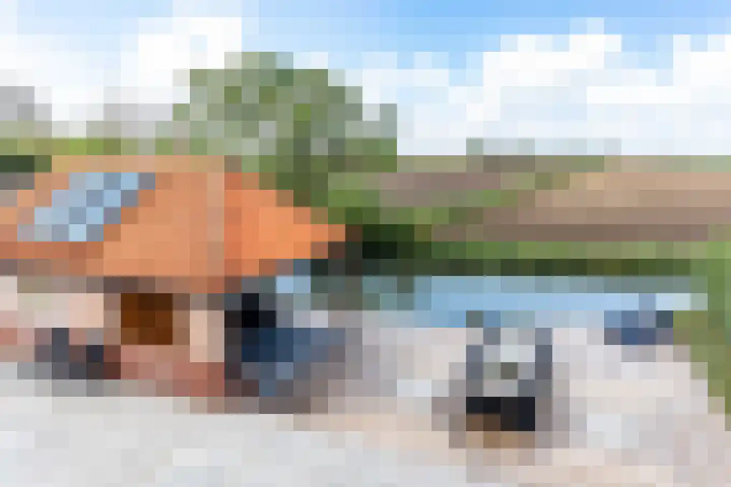 Nedereindseweg 528 Utrecht thumbnail 4