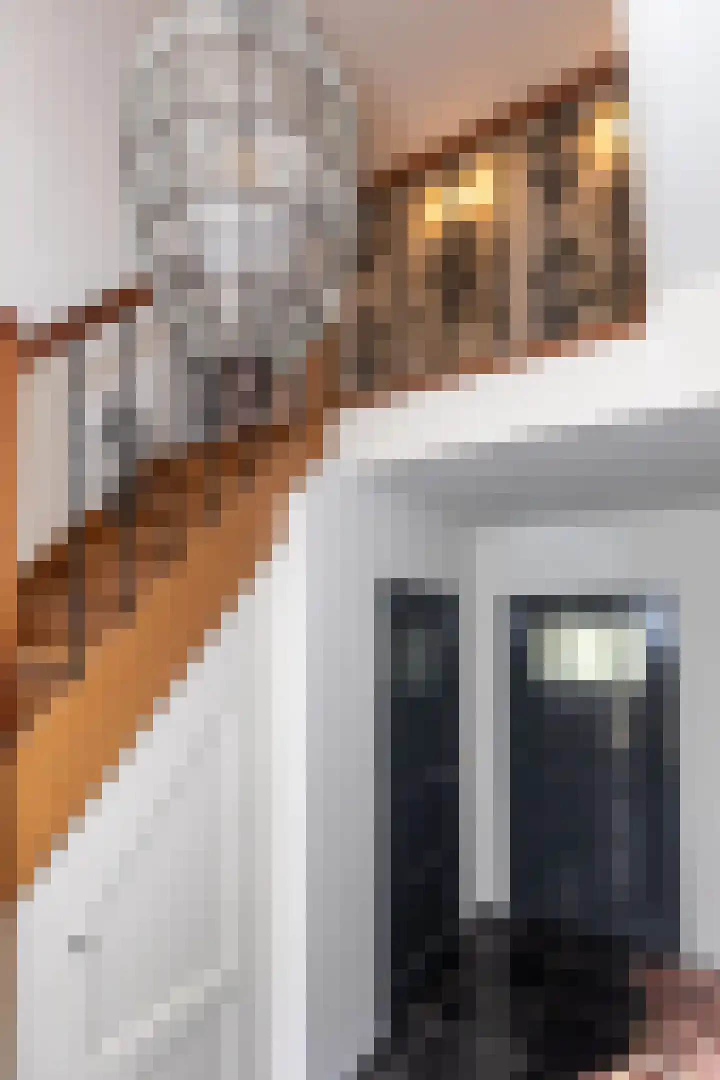 Nedereindseweg 528 Utrecht thumbnail 44
