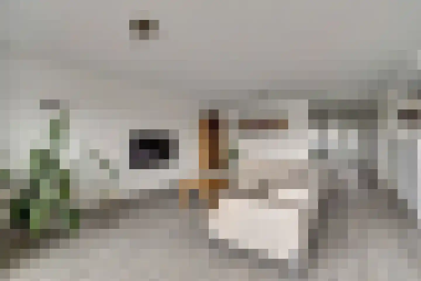 Nedereindseweg 75 Nieuwegein thumbnail 8