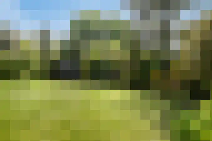 Nederheide 9 a Woensdrecht thumbnail 31