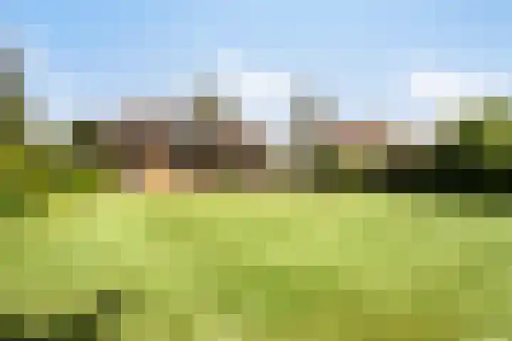 Nederheide 9 a Woensdrecht thumbnail 32