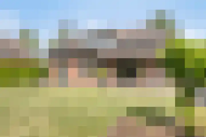 Nederheide 9 a Woensdrecht thumbnail 36