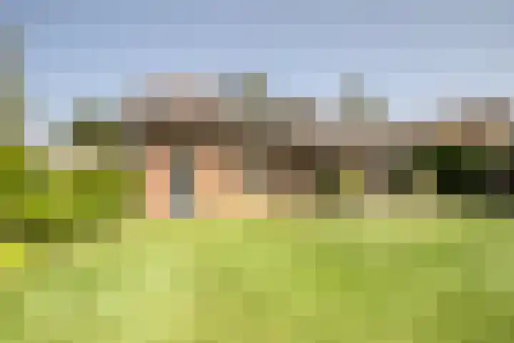 Nederheide 9 a Woensdrecht thumbnail 4