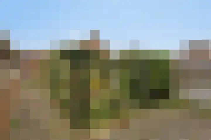 Nederhof 16 Berlicum thumbnail 17