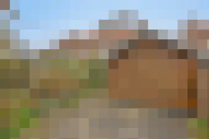 Nederhof 16 Berlicum thumbnail 19