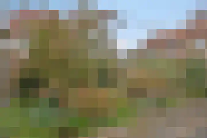 Nederhof 16 Berlicum thumbnail 20