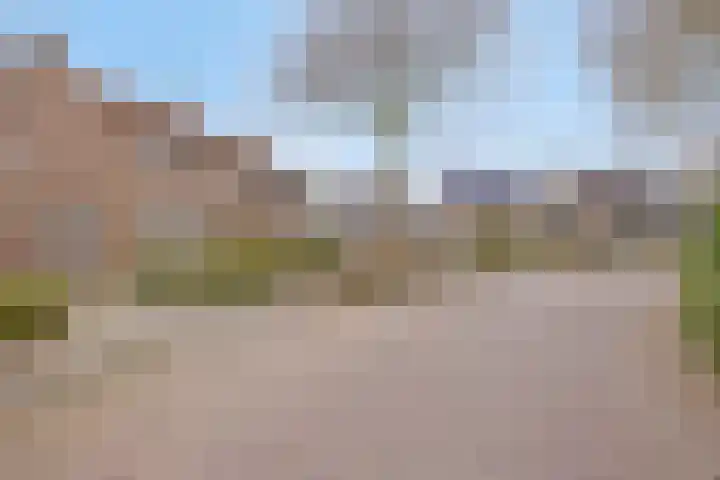 Nederhof 16 Berlicum thumbnail 24