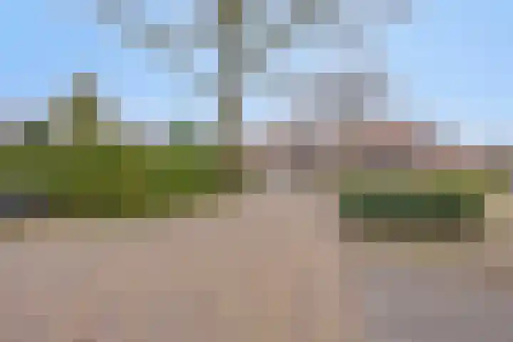 Nederhof 16 Berlicum thumbnail 25
