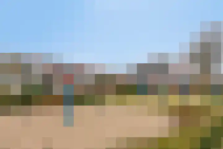 Nederhof 16 Berlicum thumbnail 26