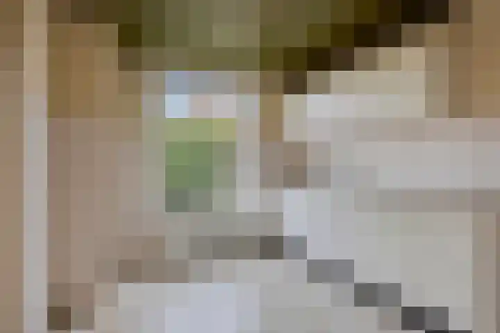 Nederhof 16 Berlicum thumbnail 4