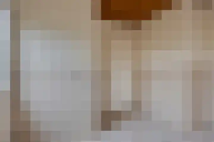 Nederhof 16 Berlicum thumbnail 8
