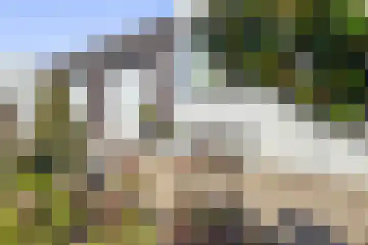 Nederhof 9 Zundert thumbnail 31