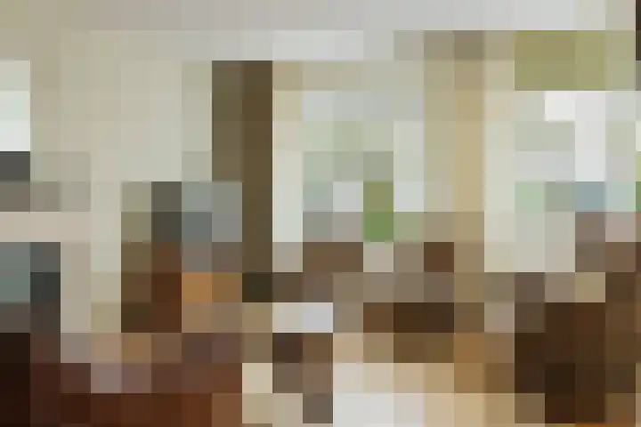 Nederhof 9 Zundert thumbnail 8