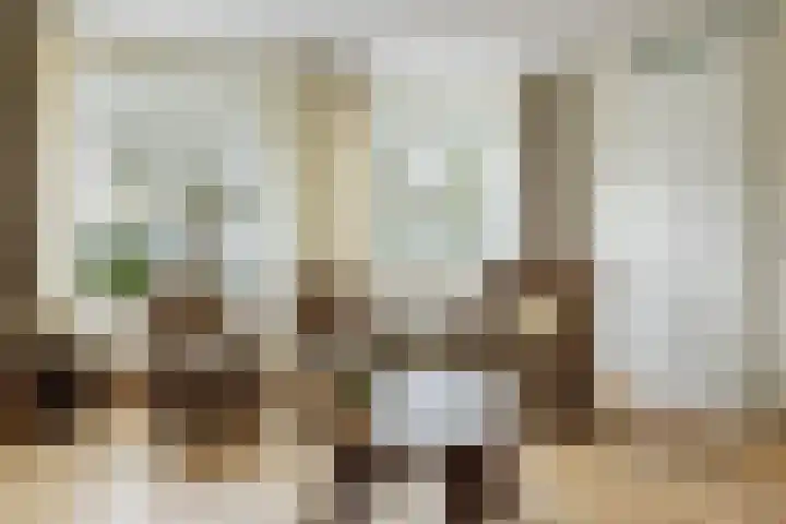 Nederhof 9 Zundert thumbnail 9