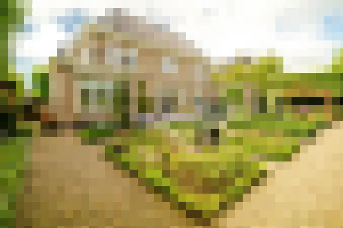 Nederhoflaan 12 Den Haag thumbnail 15
