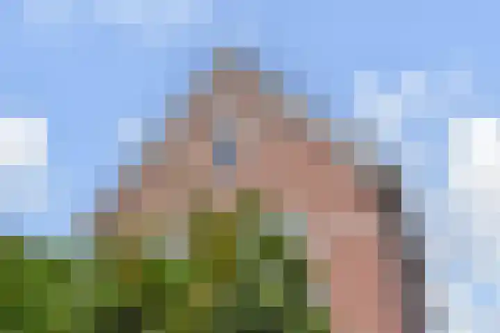 Nederhoflaan 73 Den Haag thumbnail 83