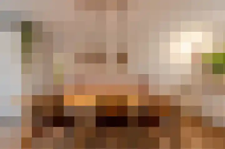 Nederhorst 1 Rotterdam thumbnail 16