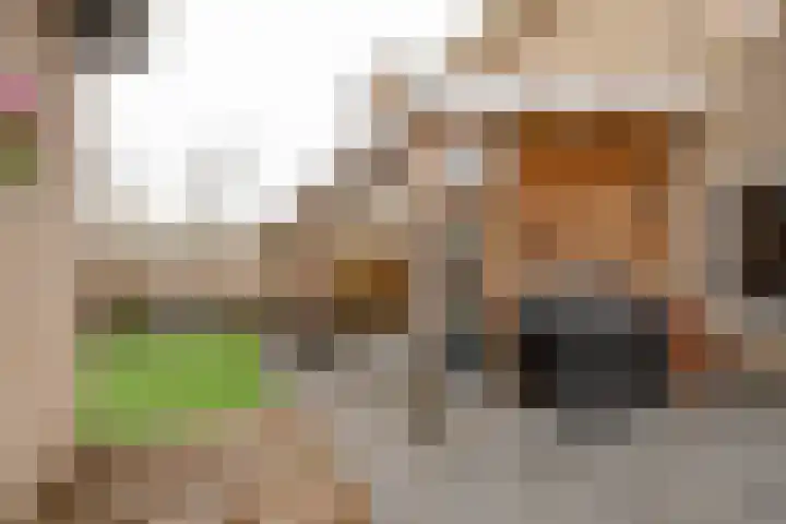Nederhorst 1 Rotterdam thumbnail 20