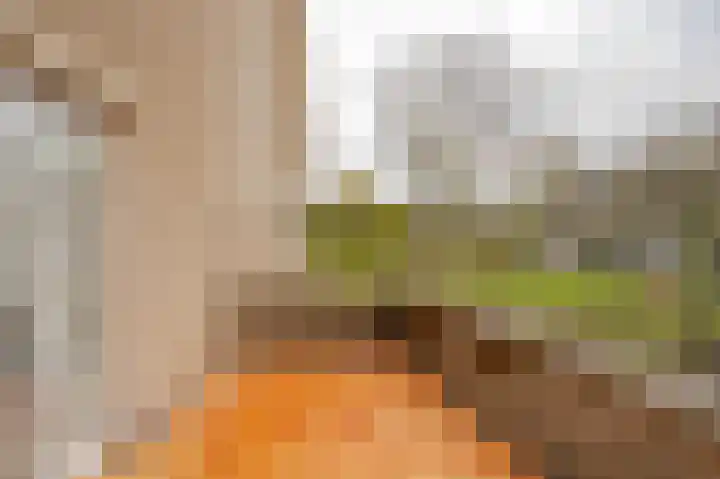 Nederhorst 1 Rotterdam thumbnail 30
