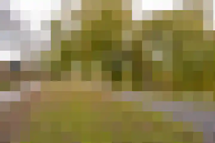 Nederhorst 1 Rotterdam thumbnail 46